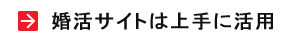 TCg͏Ɋp