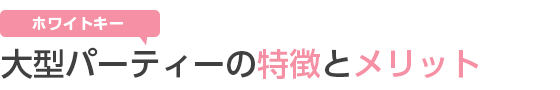 zCgL[̑^p[eB[̓ƃIXX