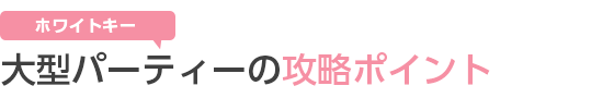 zCgL[̑^p[eB[̍U|CgI