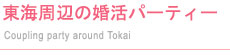 Cӂ̍p[eB[